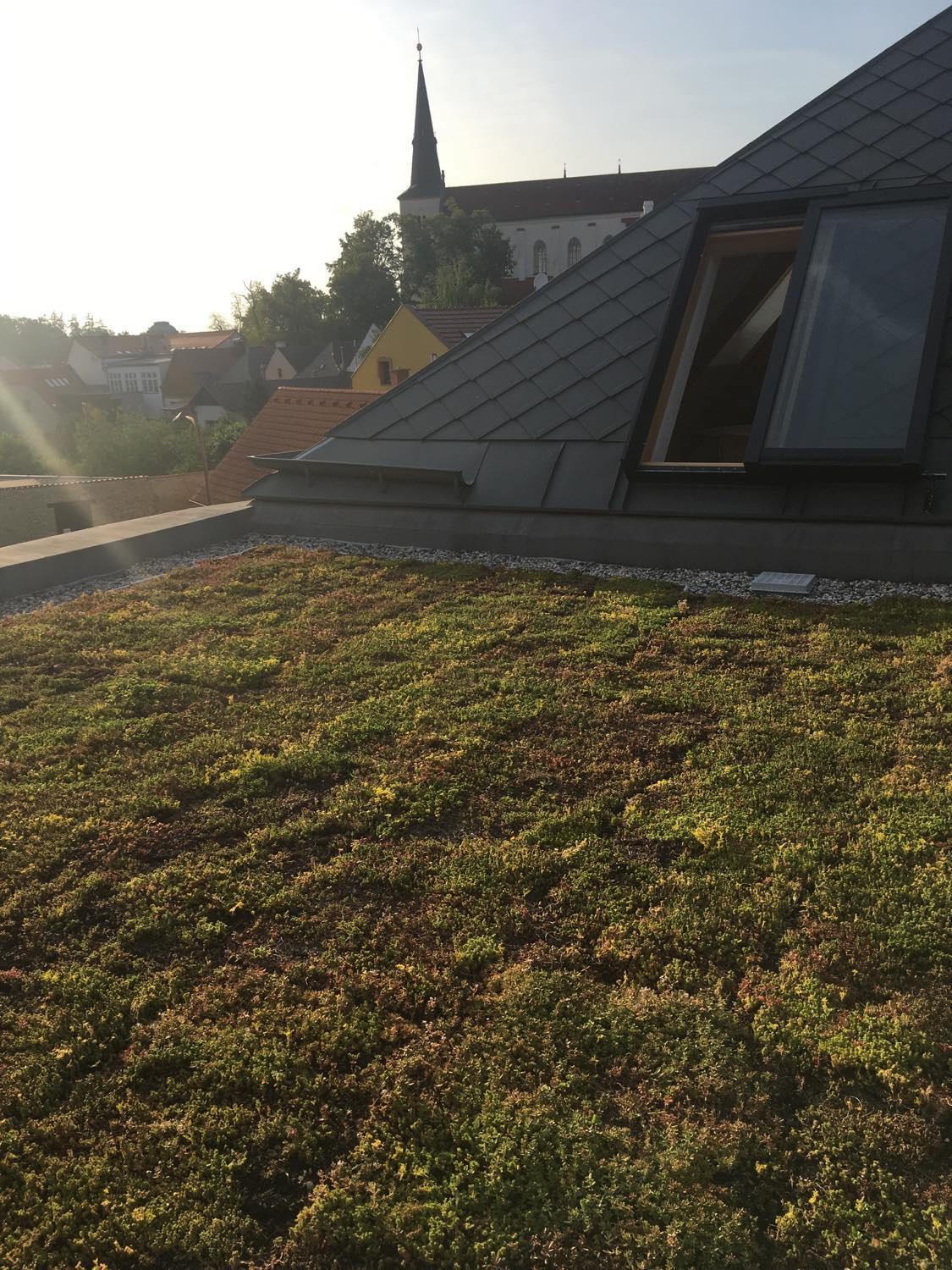 Apartments Marinka Litomyšl Zewnętrze zdjęcie